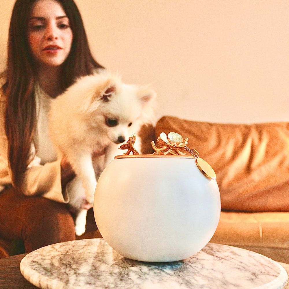 Urns for Pet Ashes - GNight Fetcher