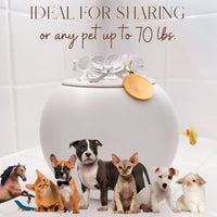 pet memorial gifts holiday gift ideas dog urns with angel wings white and gold black and gold urns for dog ashes sympathy gifts unique pet urns