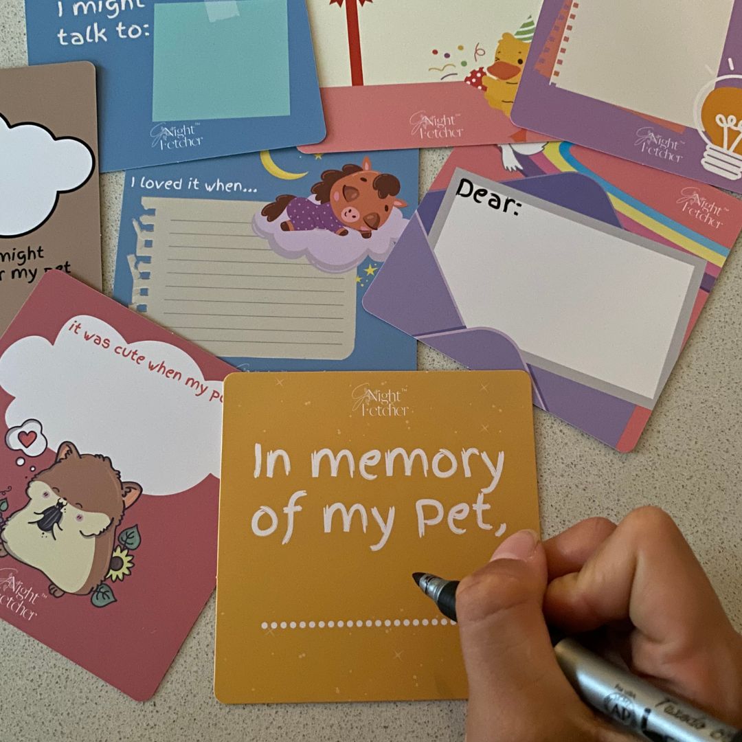 For Kids: Pet Loss Comfort Cards - 51 Affirmations with Prompts - GNight Fetcher