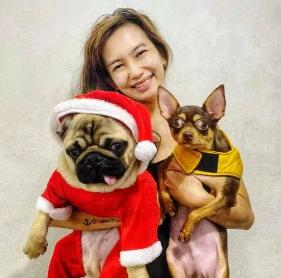 a person wearing a smile while holding a pug and a chihuahua leaning against the wall 