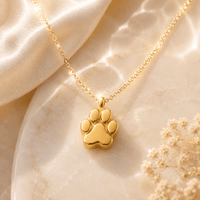 Paw Print Cremation Necklace for Dog & Pet Ashes - GNight Fetcher
