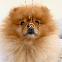 Paw Print - Cremation Necklace for Dog & Pet Ashes - Gold - GNight Fetcher