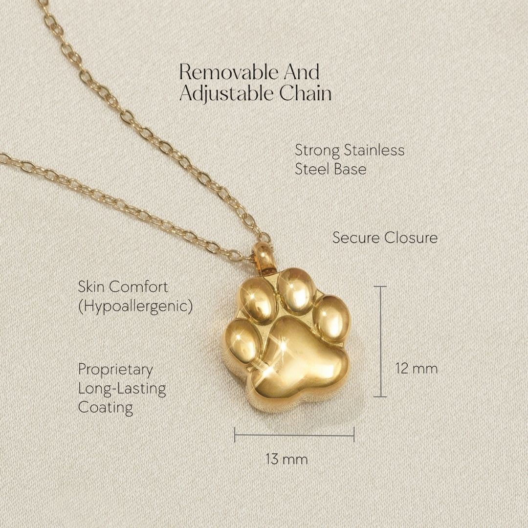 Paw Print - Cremation Necklace for Dog & Pet Ashes - Gold - GNight Fetcher