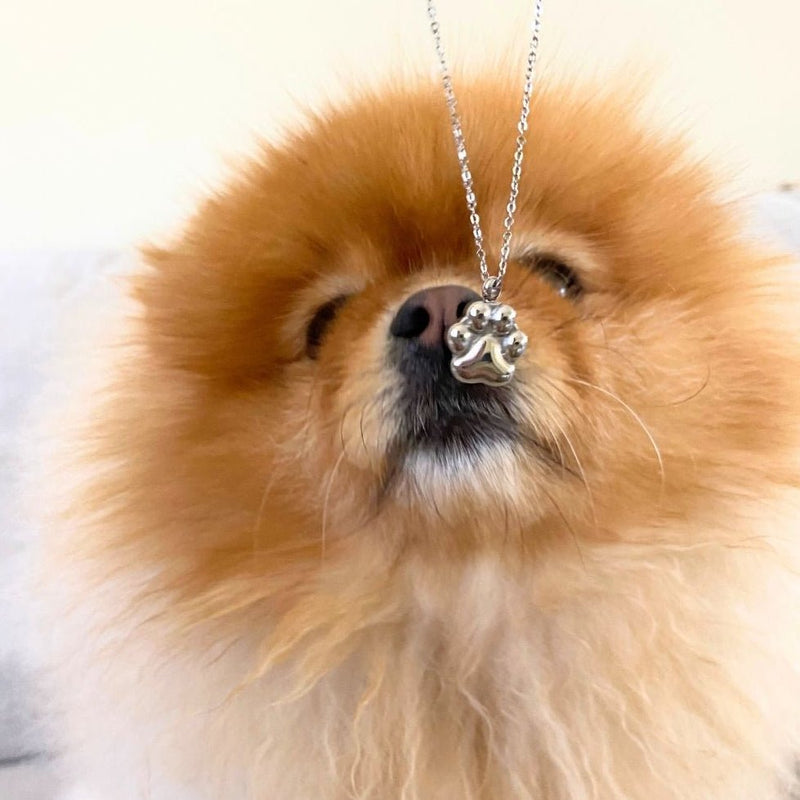 Paw Print - Cremation Necklace for Dog & Pet Ashes - Silver - GNight Fetcher