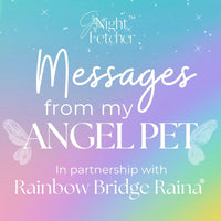 Pet Loss Sympathy Cards - Messages from My Pet Angel - GNight Fetcher