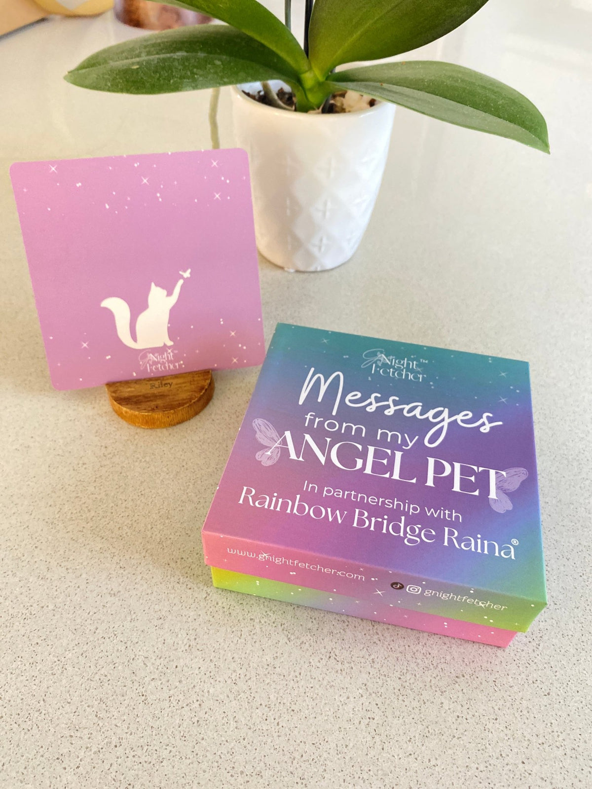 Pet Loss Sympathy Cards - Messages from My Pet Angel - GNight Fetcher