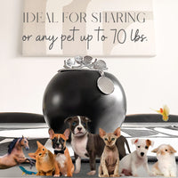 pet memorial gifts holiday gift ideas dog urns with angel wings white and gold black and gold urns for dog ashes sympathy gifts unique pet urns